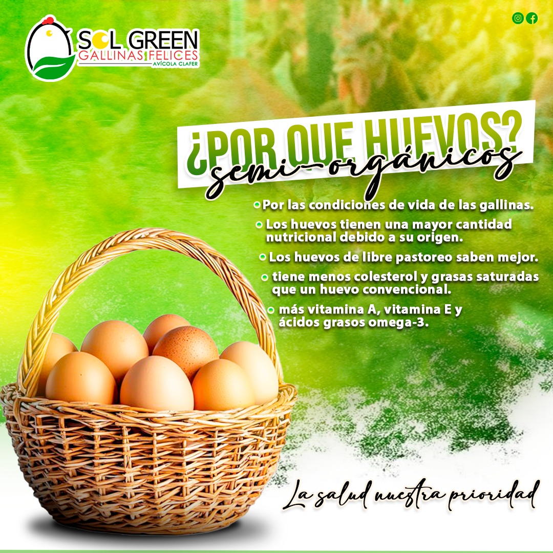Diseño de portafolio: 1000002390
