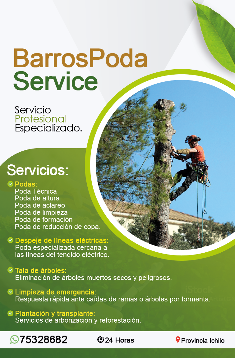 Diseño de portafolio: Afiche